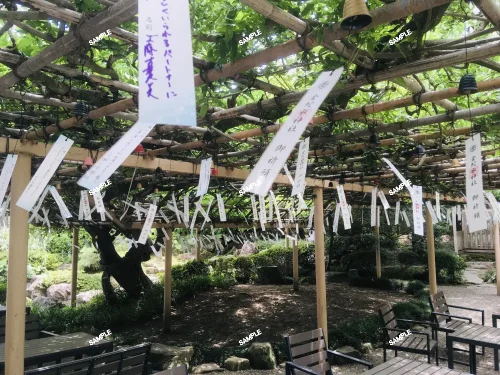 Tanzaku at Kanahebisui-jinja Shrine in Miyagi, Japan