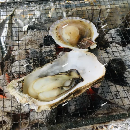 Charcoal-grilled oysters and scallops in Miyagi, Japan