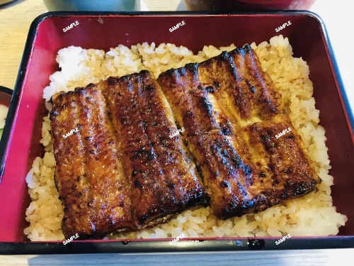 Natural Japanese Eel Rice Bowl from Naritasan in Chiba, Japan